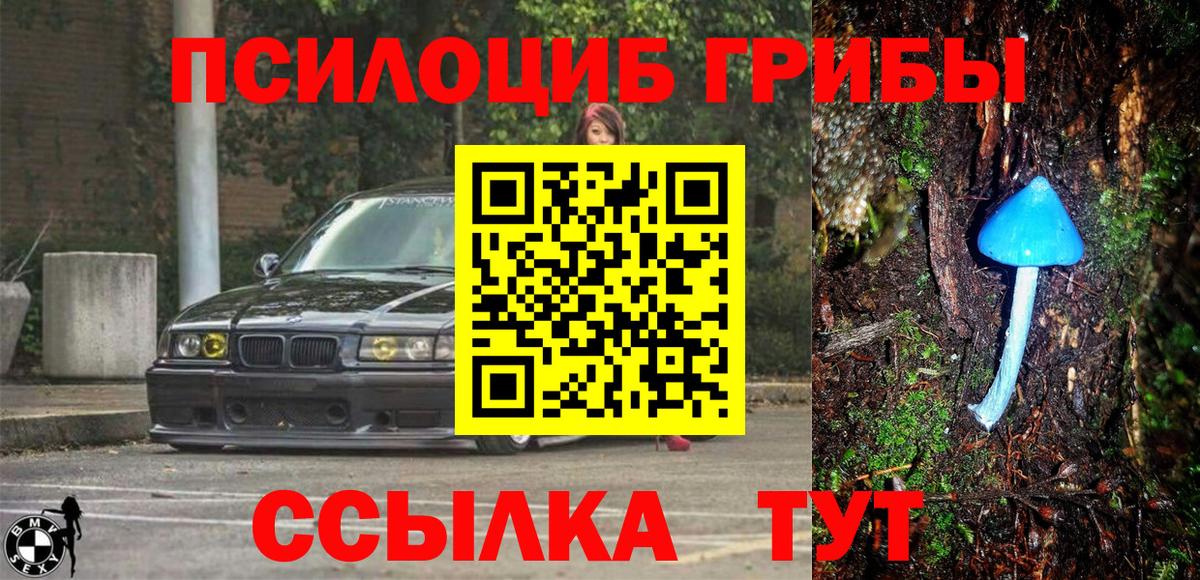 Самара  купить закладку  Псилоцибиновые грибы Cubensis  Вход с VPN  Галлюциногенные грибы ЛСД 